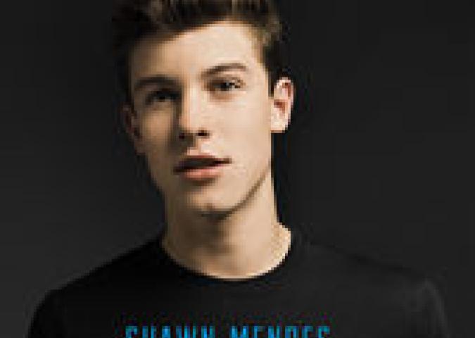 Stitches