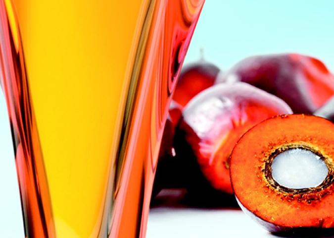 DOTT.SSA DEBORA RASIO, l’olio di palma