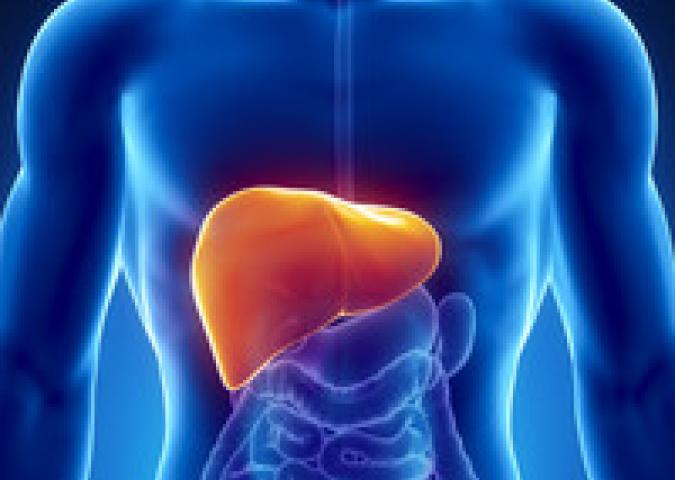 DOTT.SSA DEBORA RASIO, il fegato e come tenerlo in salute 