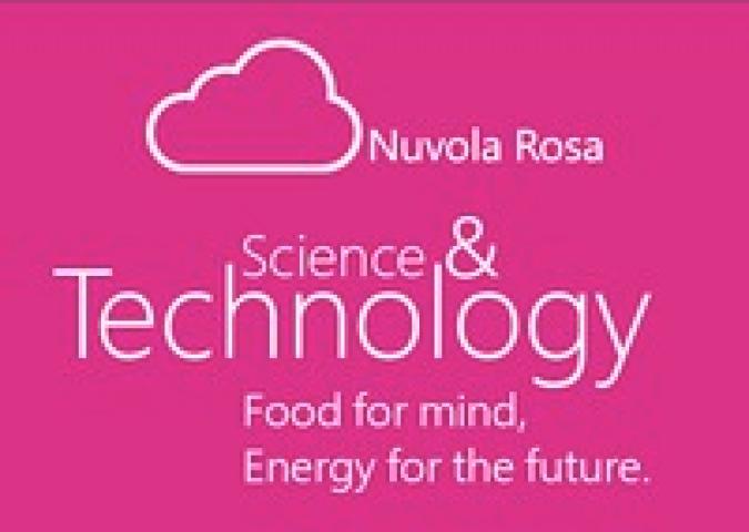 PAOLA CAVALLERO Direttore Marketing & Operations di Microsoft Italia, il progetto della Nuvola Rosa