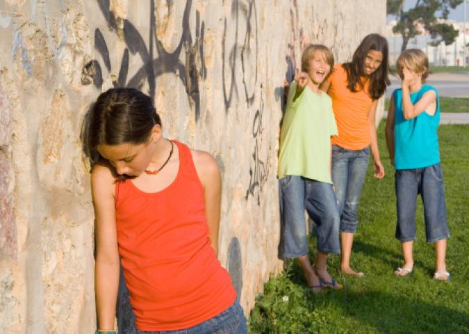 SILVIA PAGANI Pedagogista, il fenomeno del bullismo  