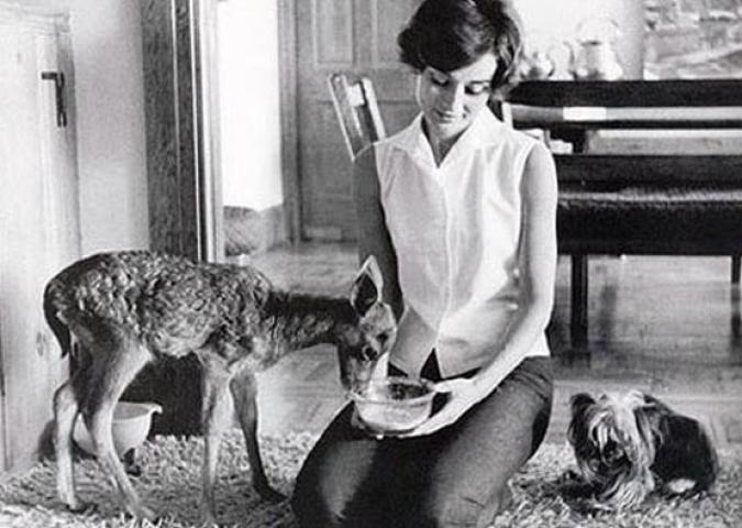 Maurizio DiMaggio - Audrey Hepburn e Pipino