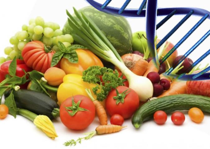 DOTT.SSA DEBORA RASIO, concetti sulla nutrizione