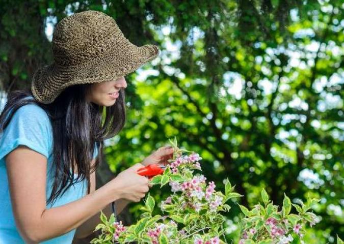 SABRINA BARBIERI Vice Direttore del settimanale Starbene, il giardinaggio nasconde qualche insidia per la salute