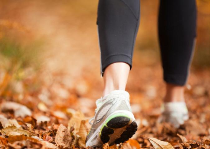 DOTT.SSA VIGNOLI Specialista in psicosomatica ed Esperta di Starbene, passeggiare senza seguire una meta 