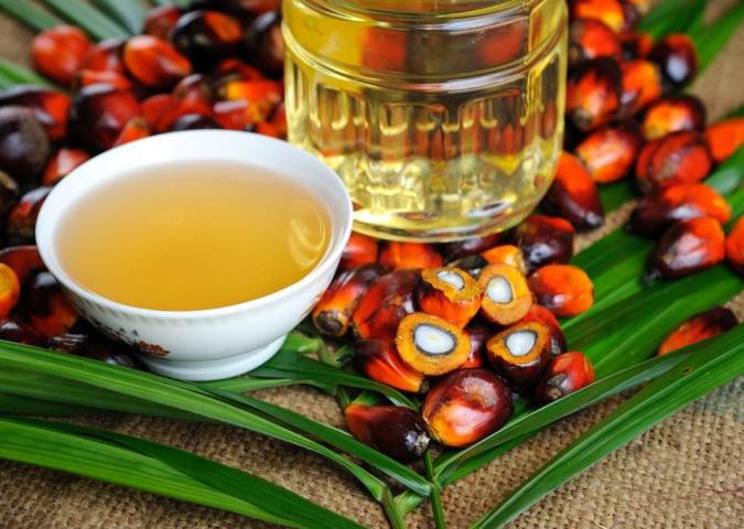 DOTT.SSA DEBORA RASIO, l’olio di palma