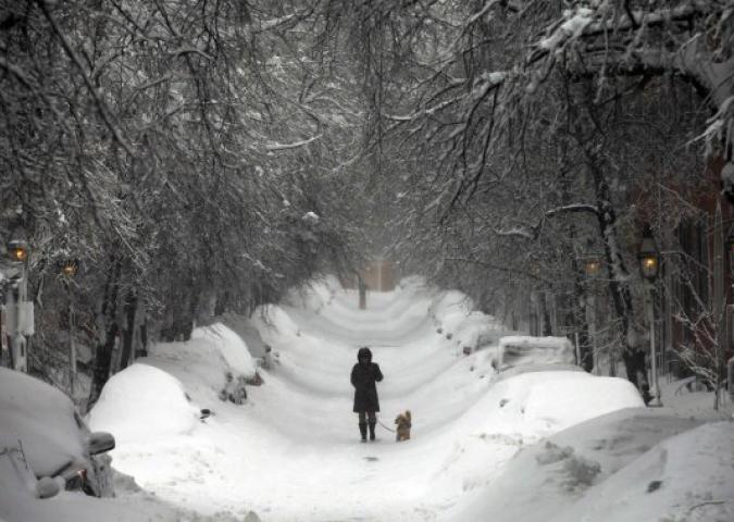 DOTT.SSA VIGNOLI Specialista in psicosomatica ed Esperta di Starbene, la neve 