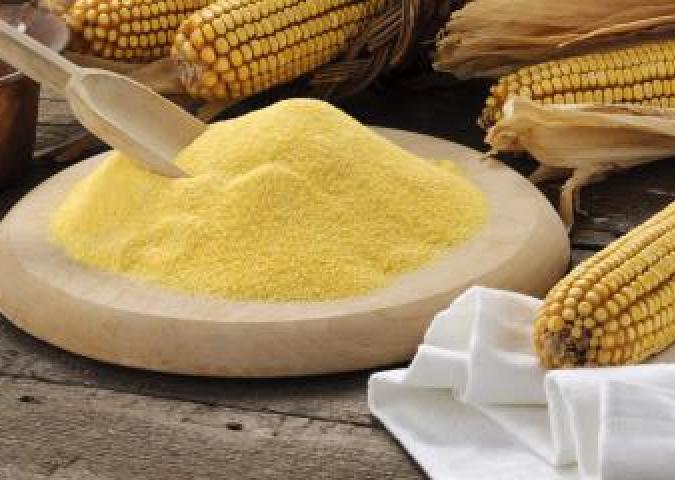 DOTT.SSA DIANA SCATOZZA Specialista in Scienza dell’alimentazione ed Esperta di Starbene, è vero che la polenta fa ingrassare?
