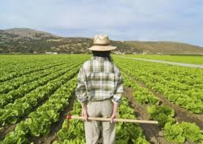 SILVIA MESSA Giornalista del mensile Milionaire, l’agricoltura i mestiere per i giovani