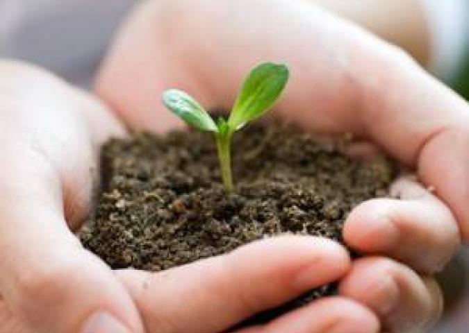 DOTT.SSA VIGNOLI Specialista in psicosomatica ed Esperta di Starbene, fai tua l'energia del germoglio