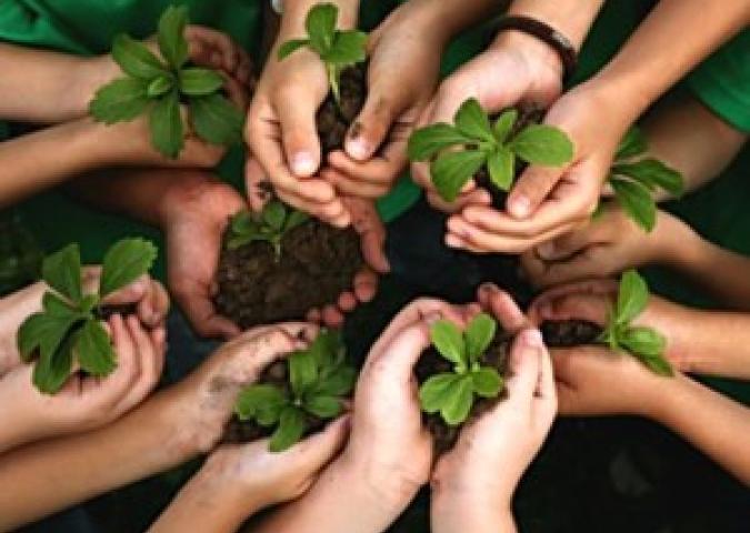 PAOLO SARI Bio Chef, protezione dell'Ambiente