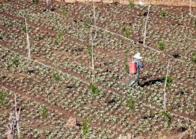RABBIA E PAURA A SAN FERDINANDO: 8 ANNI DOPO SI RISCHIA UN'ALTRA ROSARNO?