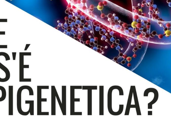 DOTT.SSA DEBORA RASIO: Oncologa, Ricercatrice e Nutrizionista