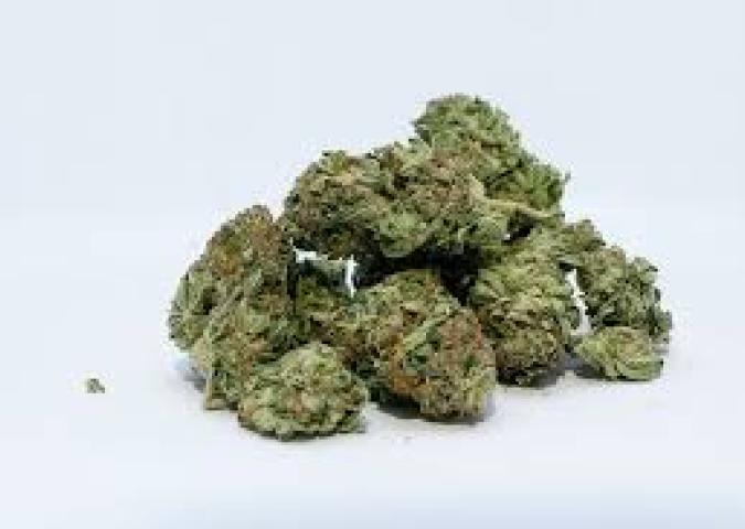 LA CANNABIS LIGHT NUOCE ALLA SALUTE: MA INTANTO E' GIA' IN VENDITA OVUNQUE