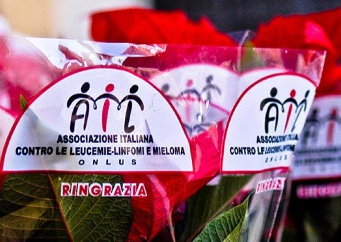 AIL, solidarietà e ricerca nella lotta contro la leucemia.