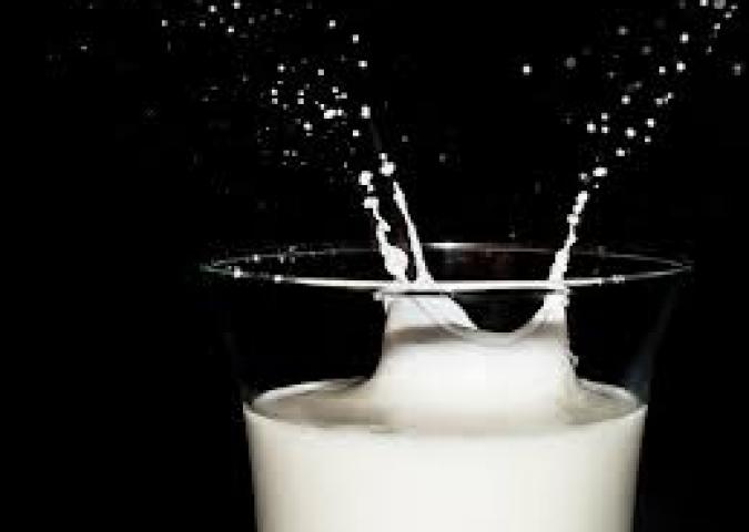 I pastori chiedono più dignità: perché il latte vien pagato poco?