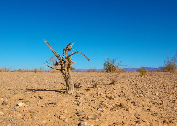 Nuovo allarme ONU: ‘Il pianeta si scalda più velocemente del previsto.’