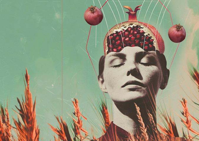 Tutti i premi del Monte Carlo Film Festival de la Comédie