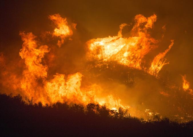Gli incendi non si arrestano e chi si batte per la foresta muore.