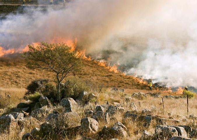 Sardegna: da sabato roghi nelle zone delle vacanze.