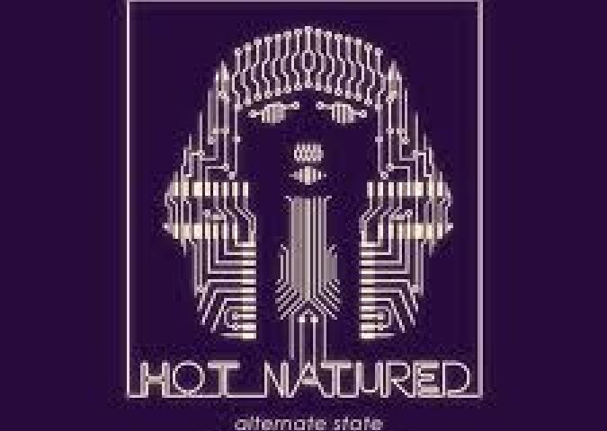 Alternate State (Original Mix)