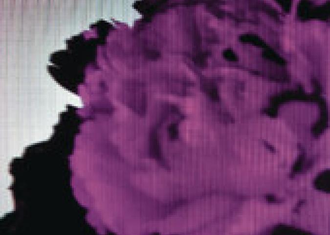 All Of Me (Tiesto's Birthday Treatment Mix)