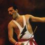 27 novembre: l'ultimo addio a Freddie Mercury