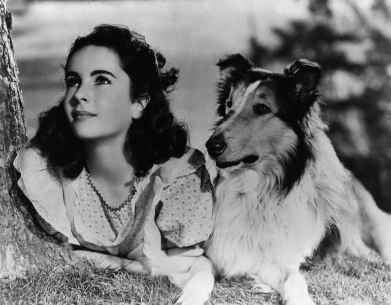 Omaggio a Elizabeth Taylor