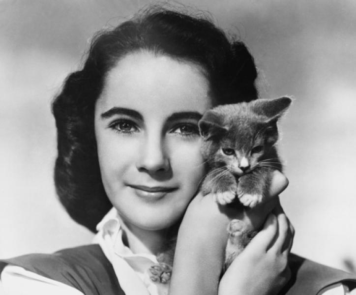Omaggio a Elizabeth Taylor