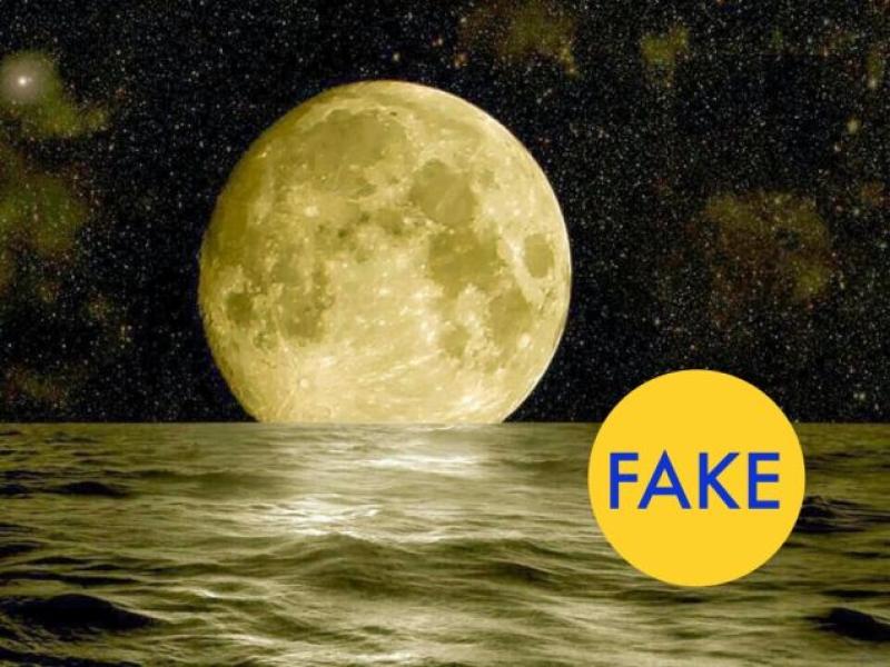 Otto foto che sono in realtà fotomontaggi