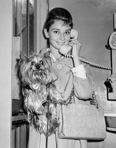 Audrey Hepburn
