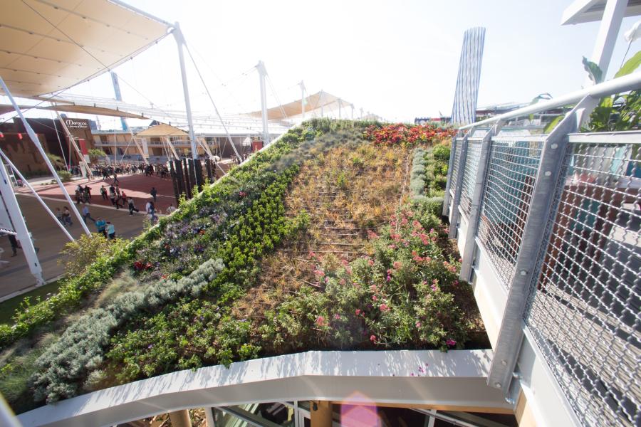 ANTONIO BERTOLOTTO Fondatore del MarcoPolo Enviromental Group, il concetto del tetto vegetale