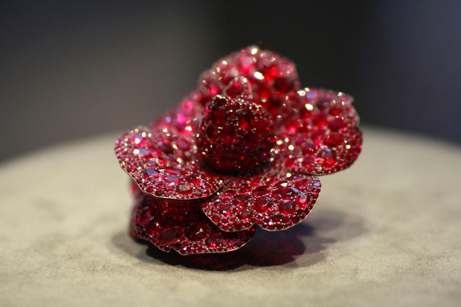 La camelia rossa