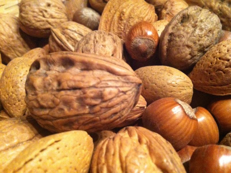 Frutta secca
