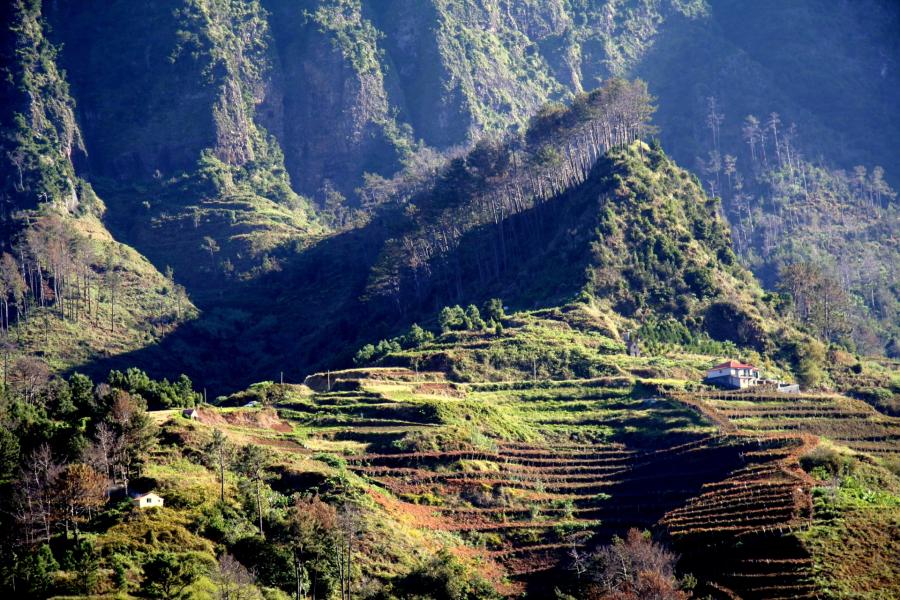 3. Madeira, Isole Madeira