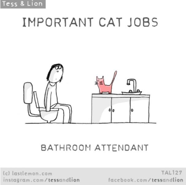 2. Assistente al bagno