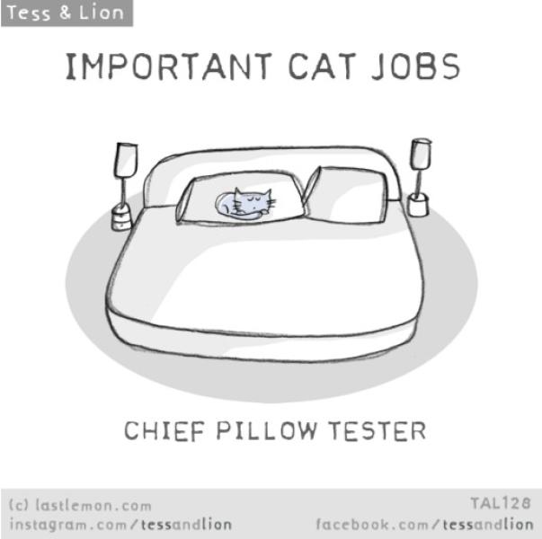9. Capo tester di cuscini