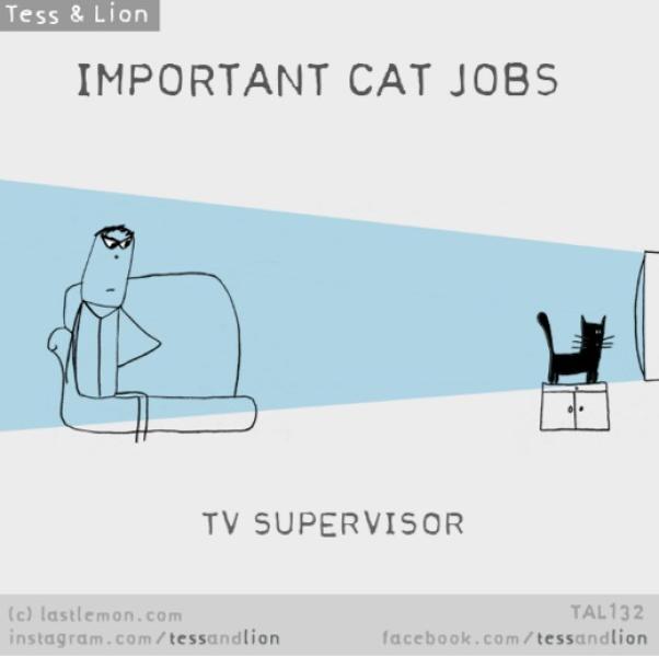 10. Supervisore tv