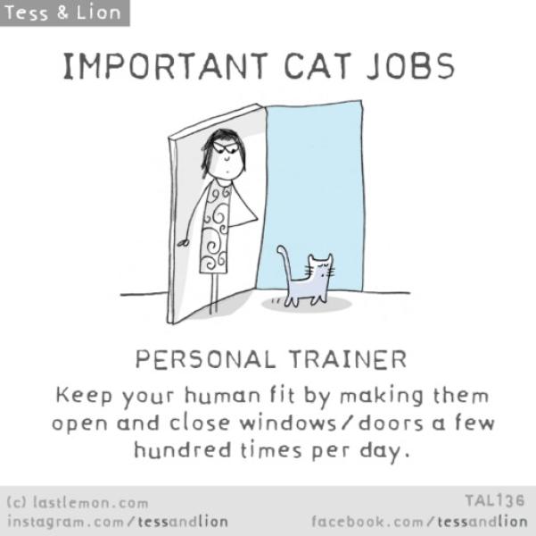 5. Personal trainer