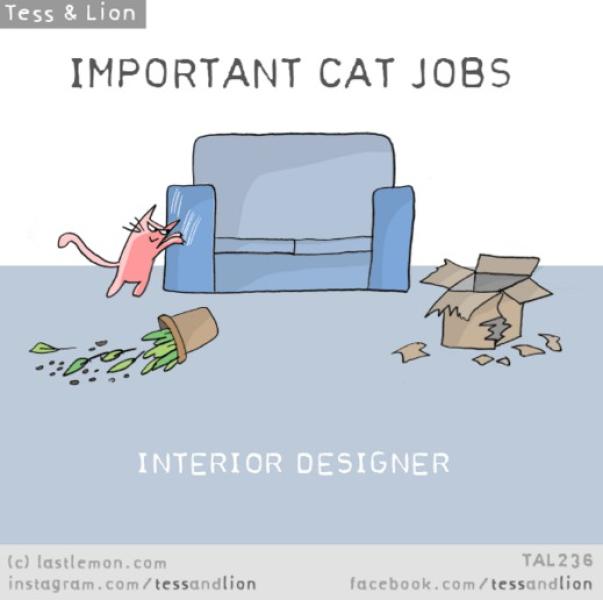 6. Designer d'interni