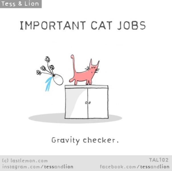 14. Controllore della gravità