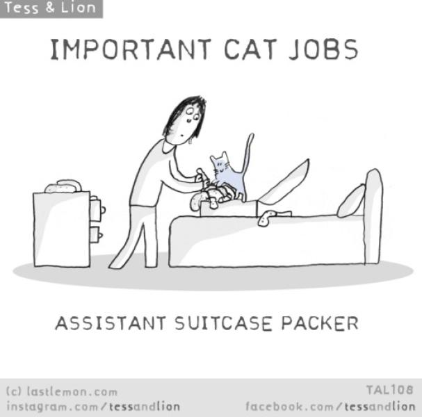 16. Assistente alla preparazione valigia