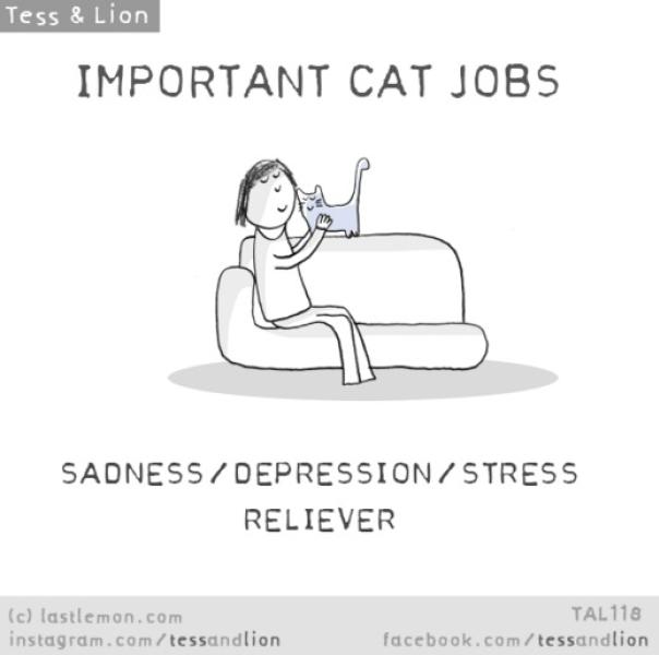 17. Alleviatore di tristezza, depressione e stress