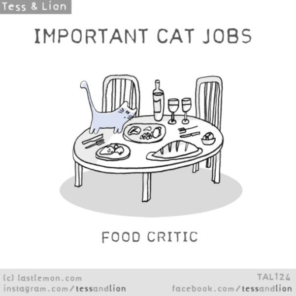 18. Tester di cibo