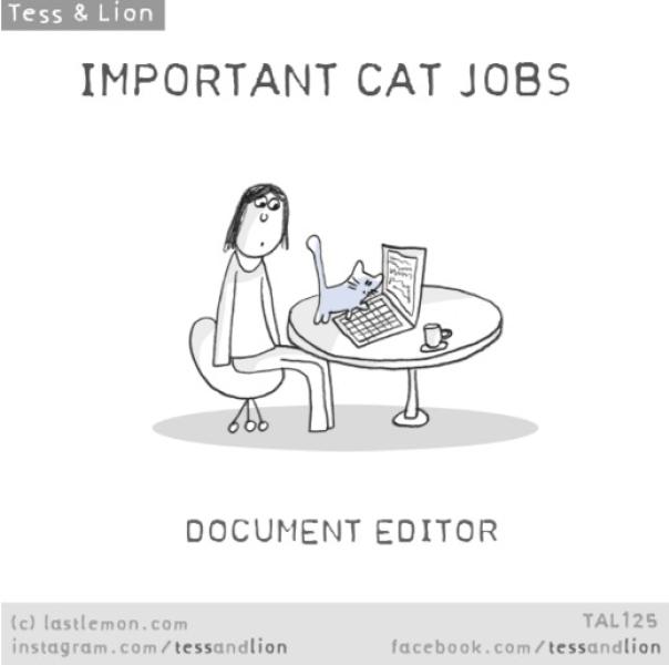 19. Document editor