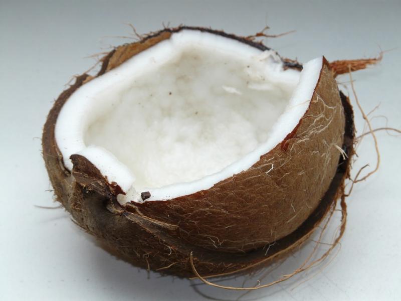 19.	Olio di cocco.