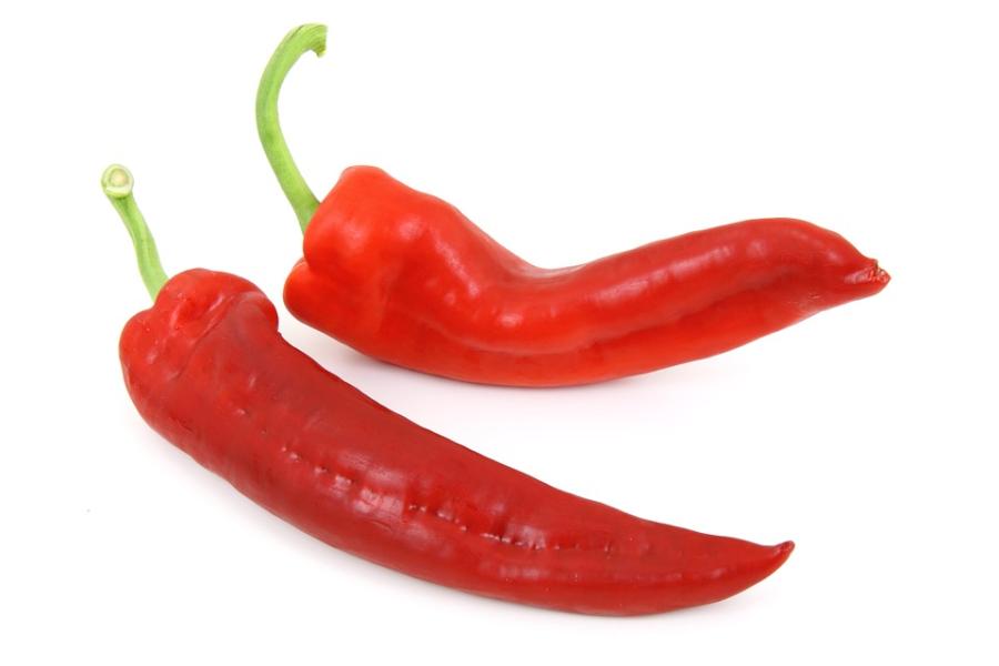 15.	Peperoncino.