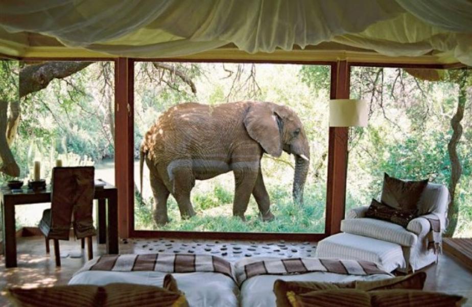 Sanctuary Makanyane Luxury Safari Lodge, Sud Africa