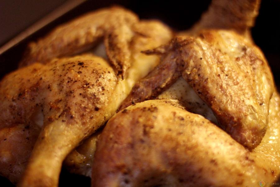 Pollo