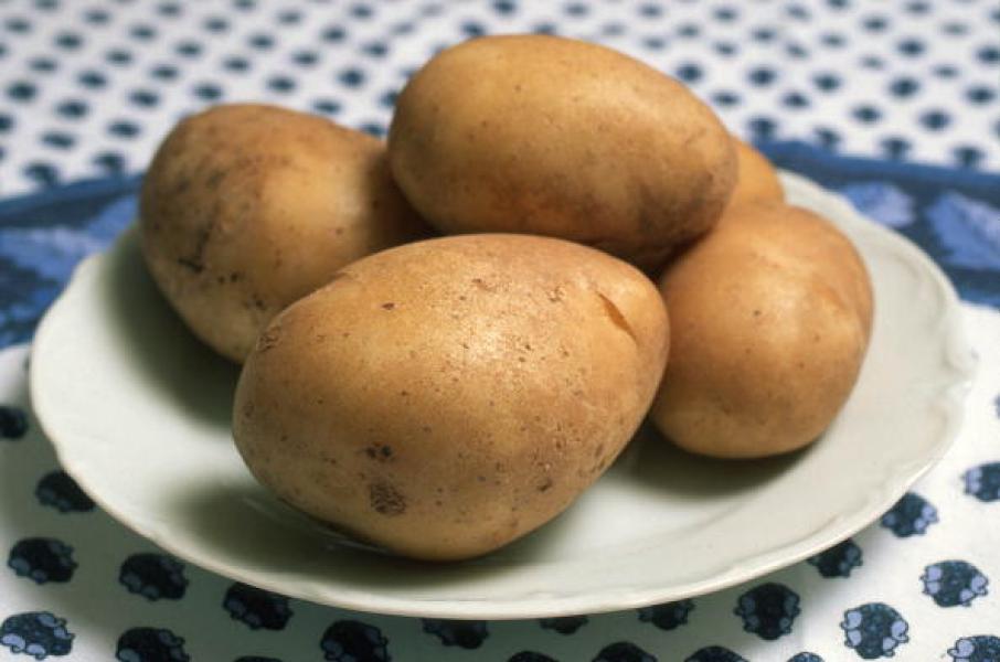 Patate